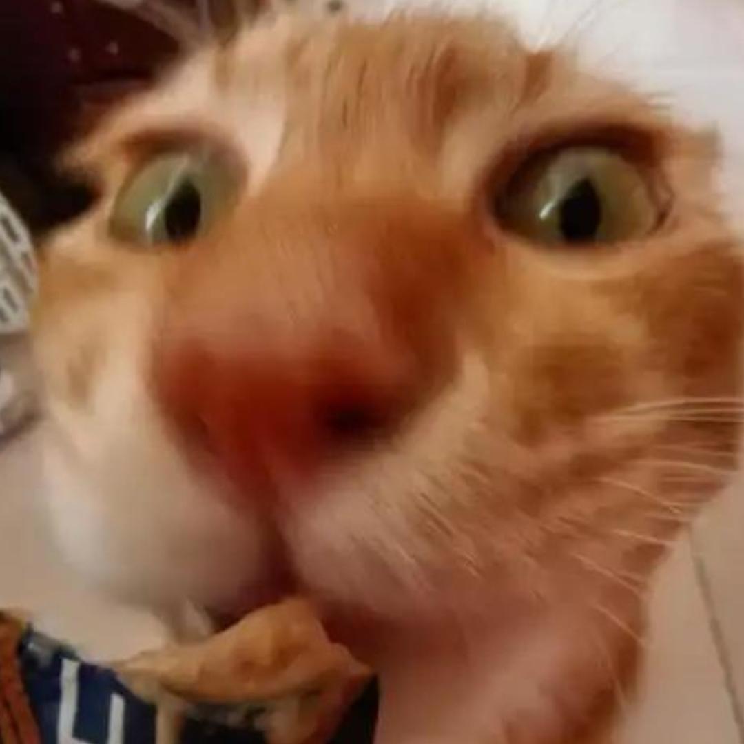 超级无敌霹雳闯祸王