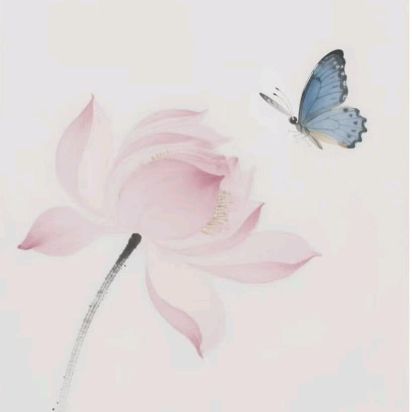 记忆如枫🧚‍♀️