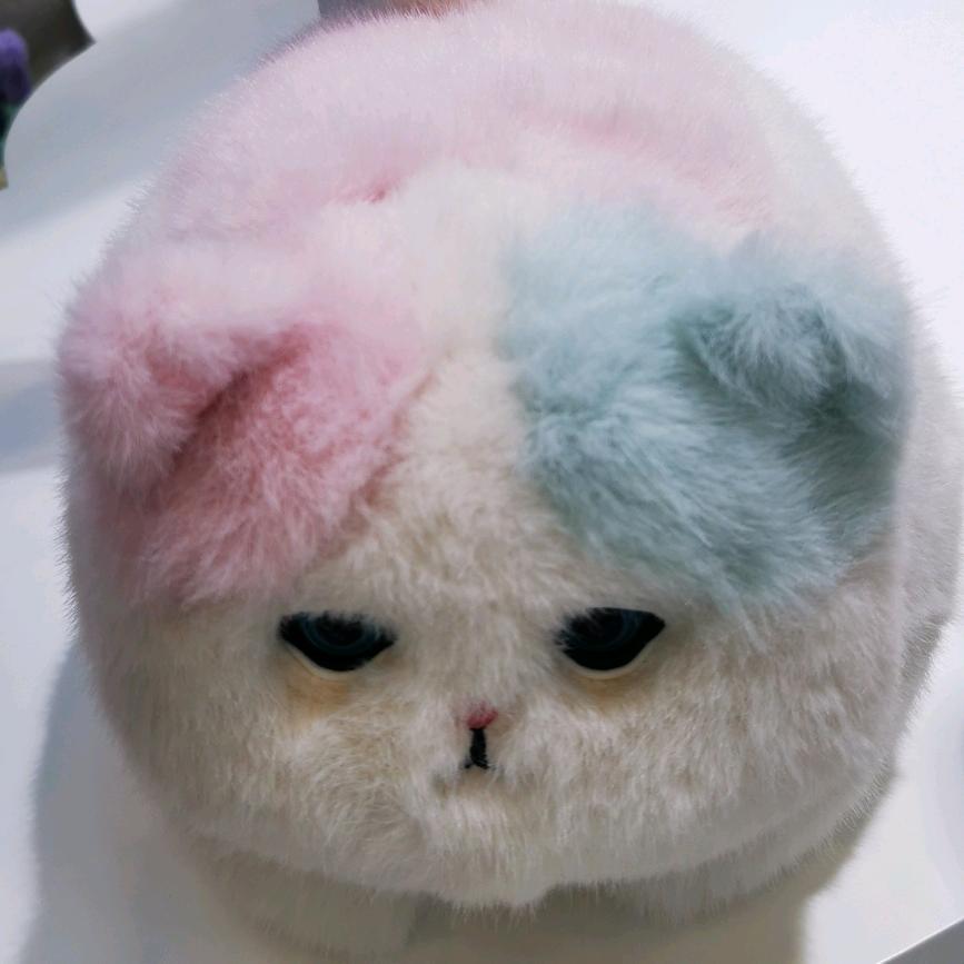 甜甜猫