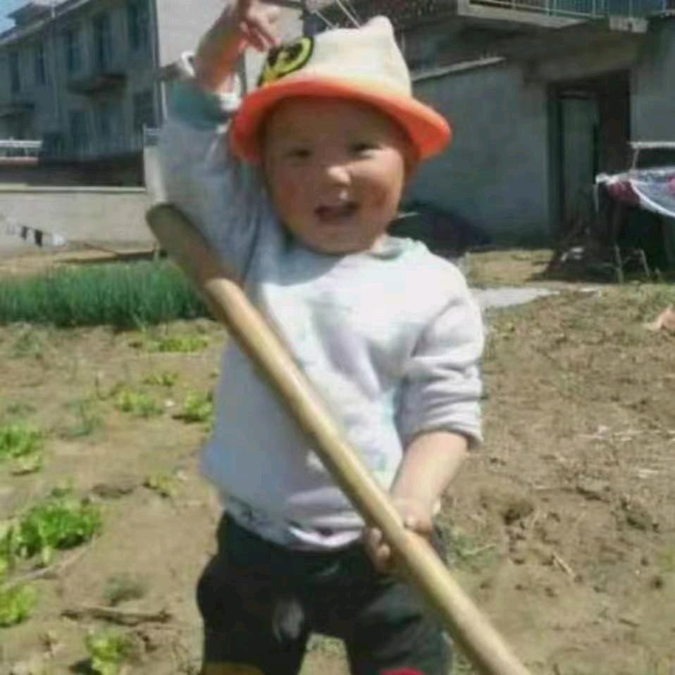杨大郎美事在心中15955