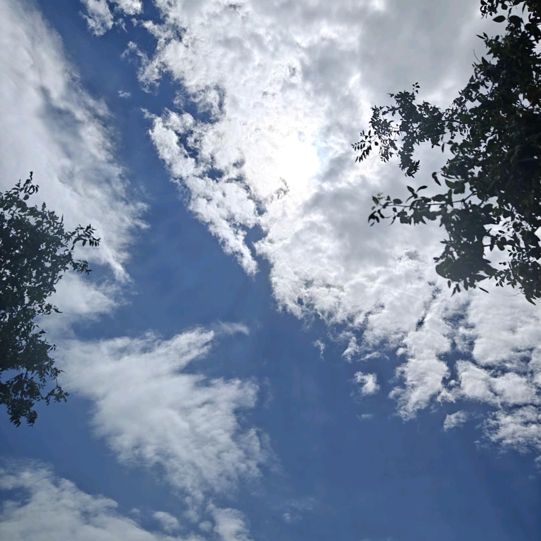 随运而安🎆🎇✨