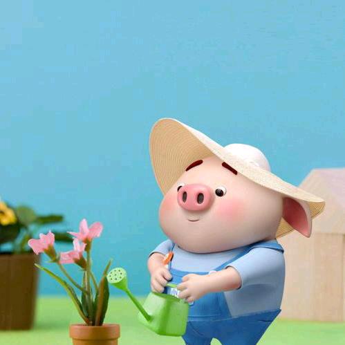 71金猪老玩童🐷