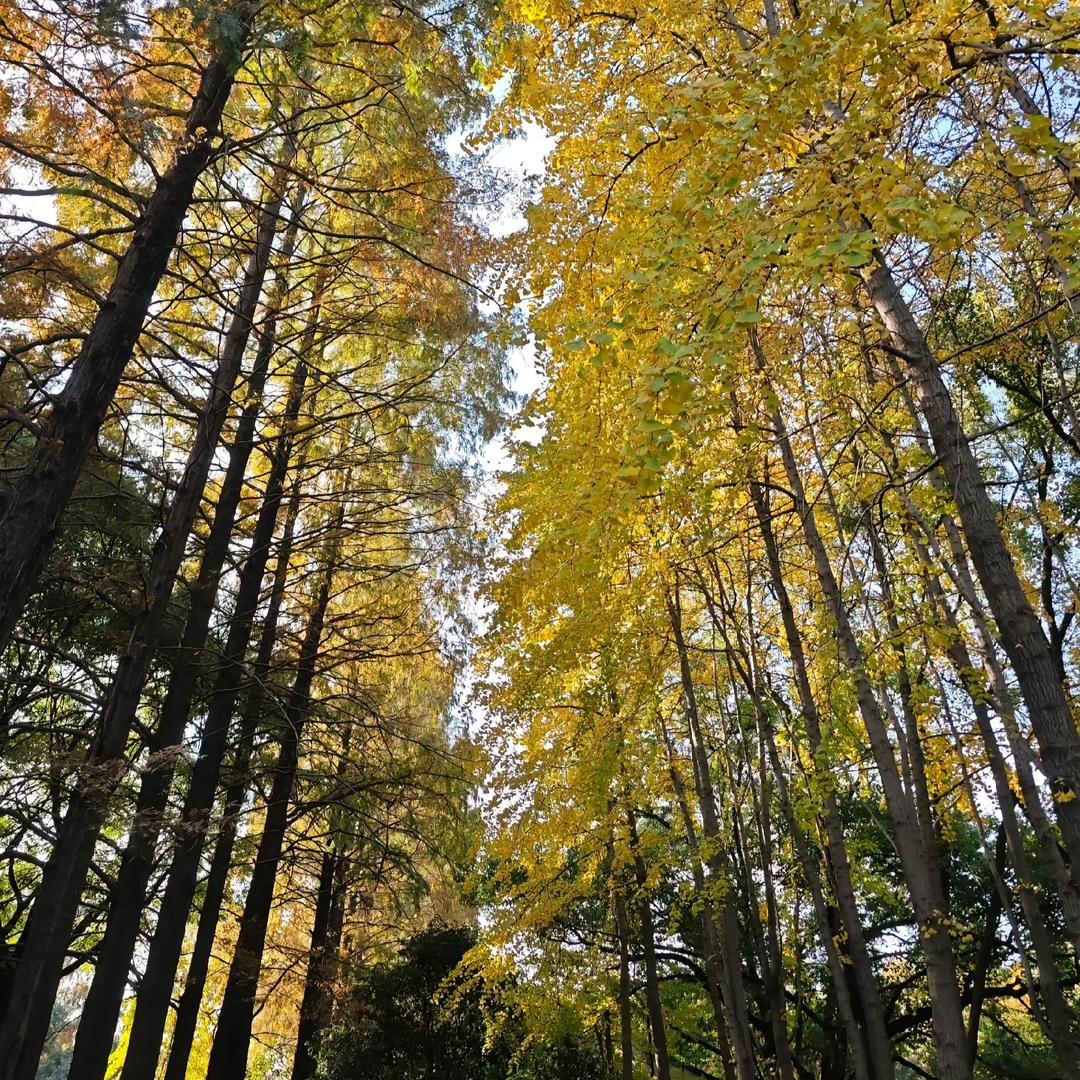 路的远方.