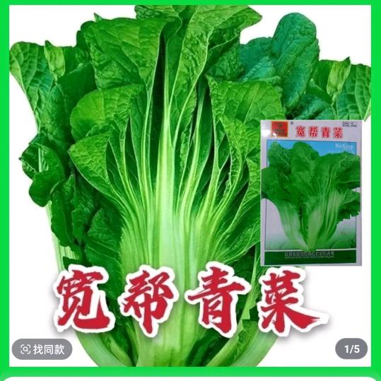 刘姐