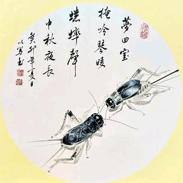 瑜哥蟋蟀