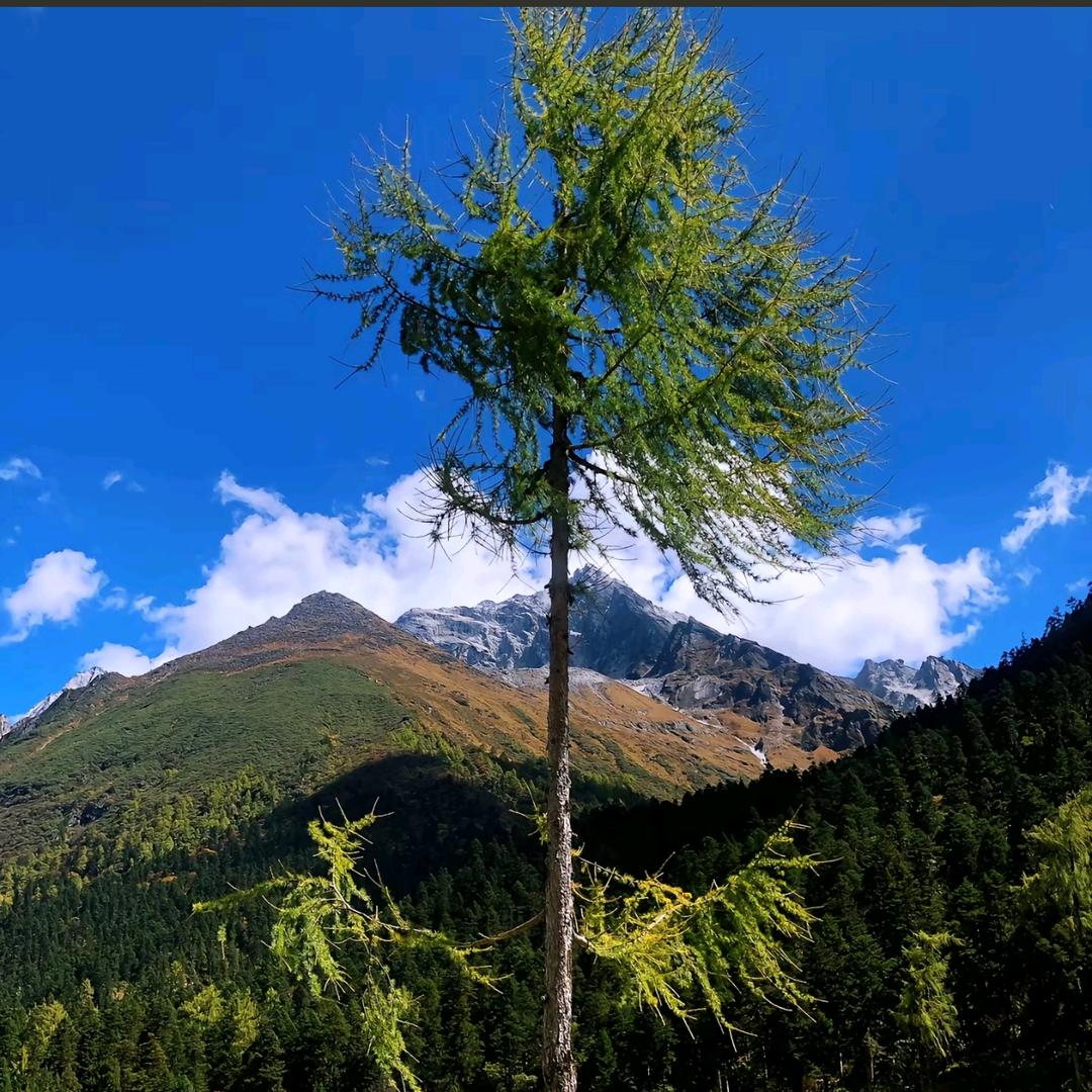 吴兴权