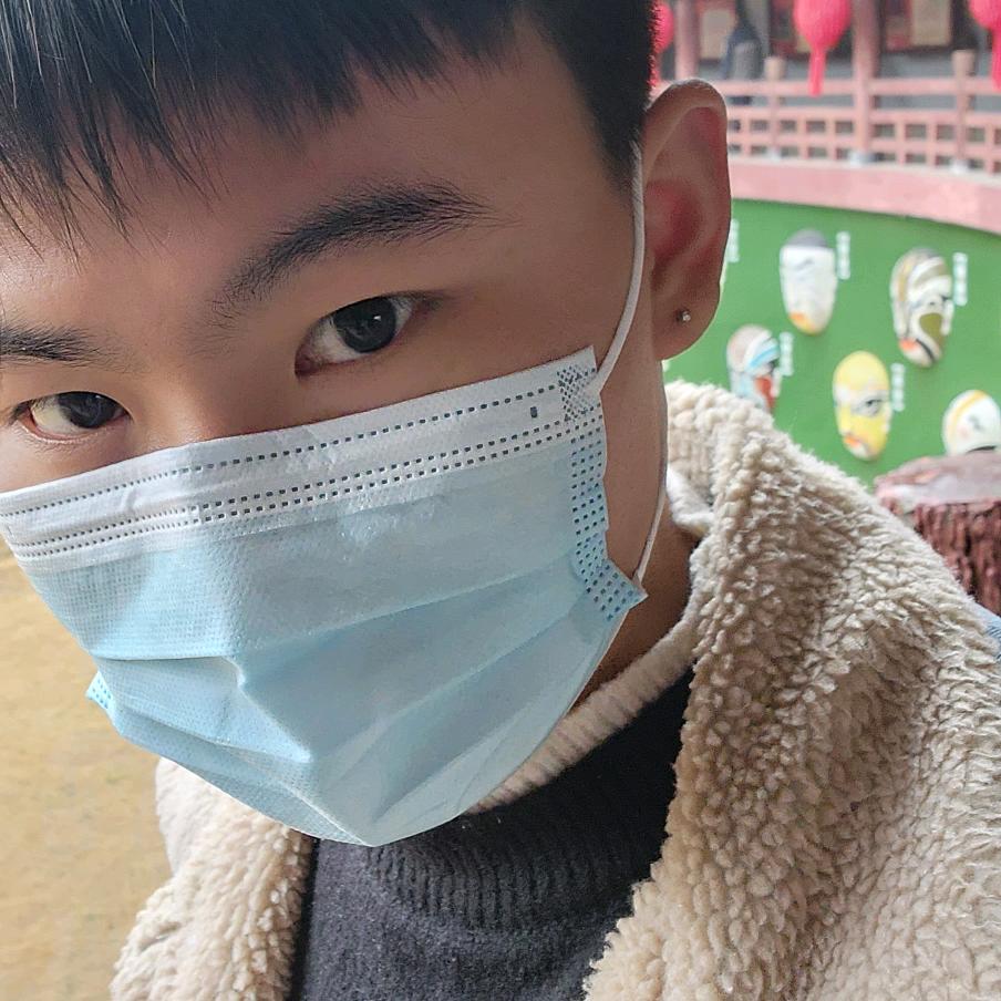 会飞的鱼