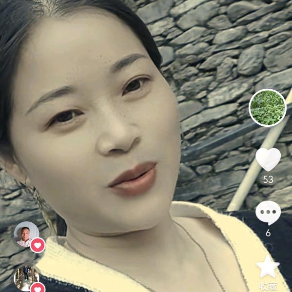 菊