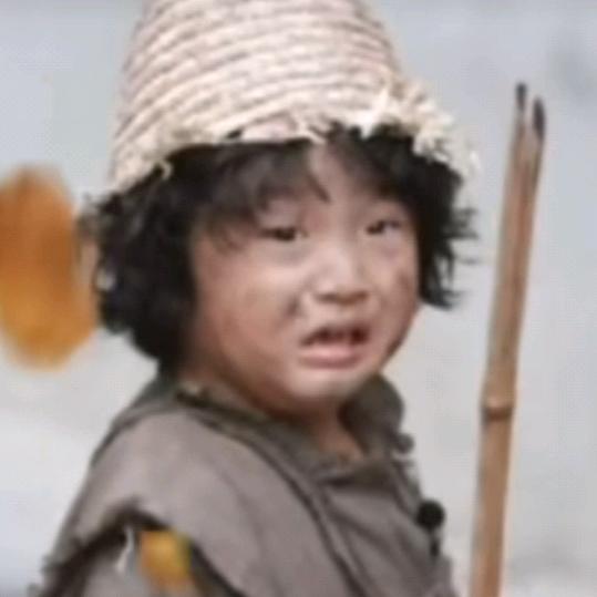 🌱🌱小草🌱🌱