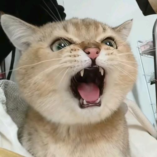 手机用户68799193491