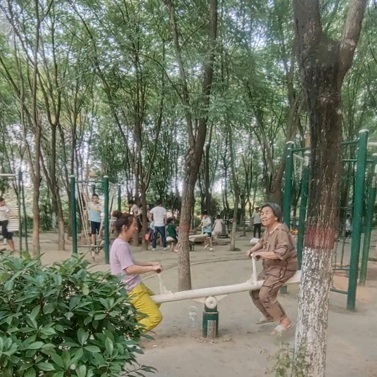 桉桉㊗️妈妈