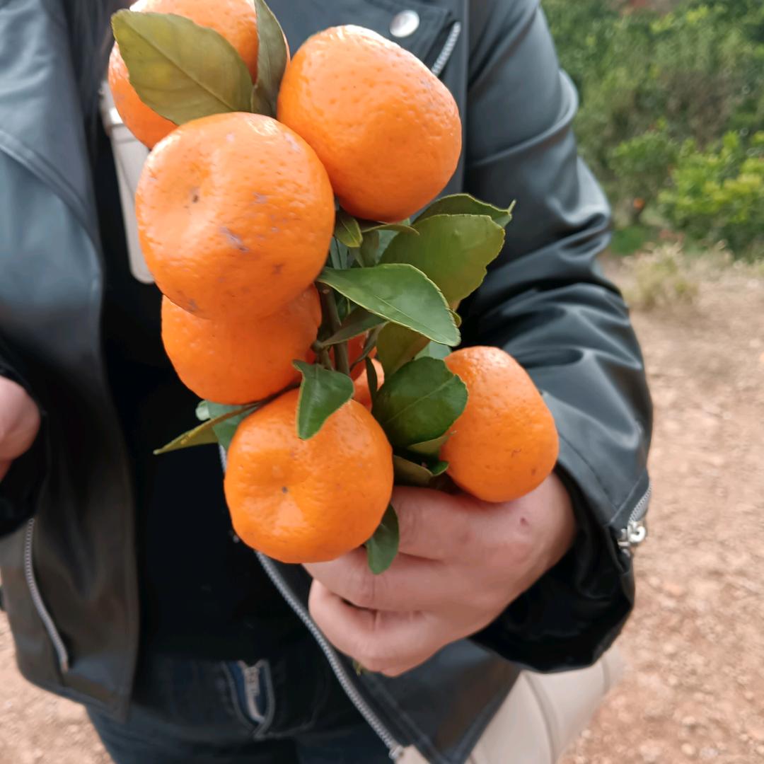 @123456家香花好正🍬🧋💞💘