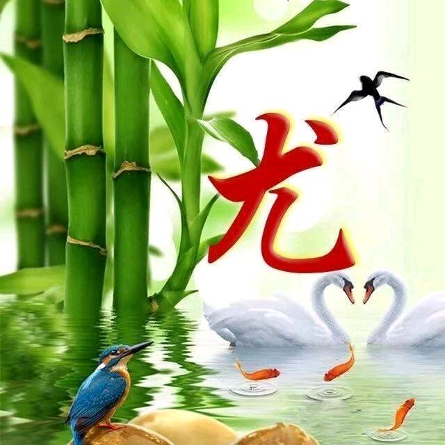 单身生活