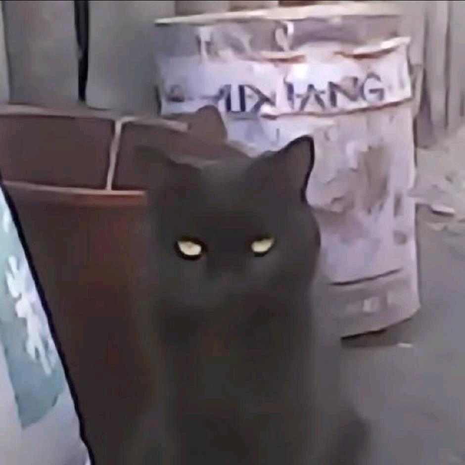 随便JAJ（抱过7k版）