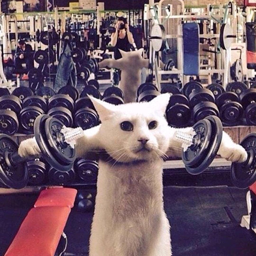 热心村民挺热心