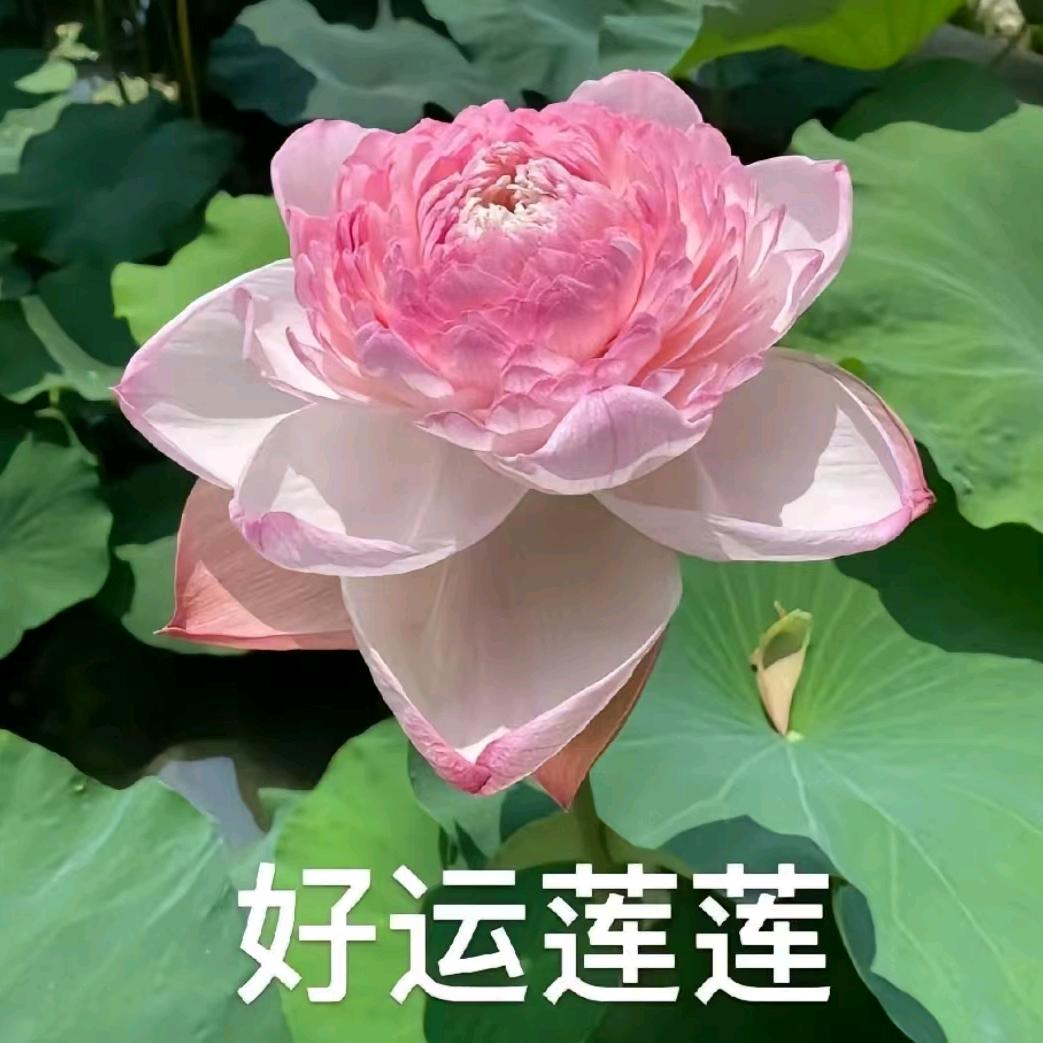 坎坎坷坷路我走过