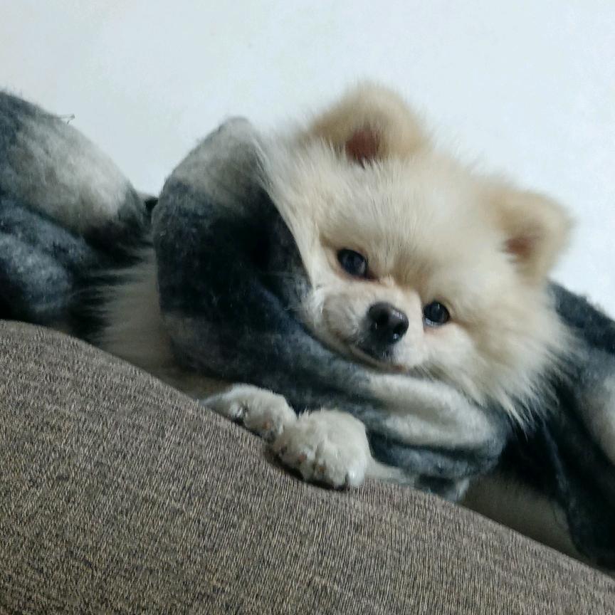 徐先秀