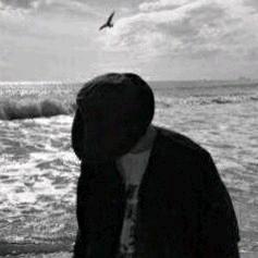 浪宪宪