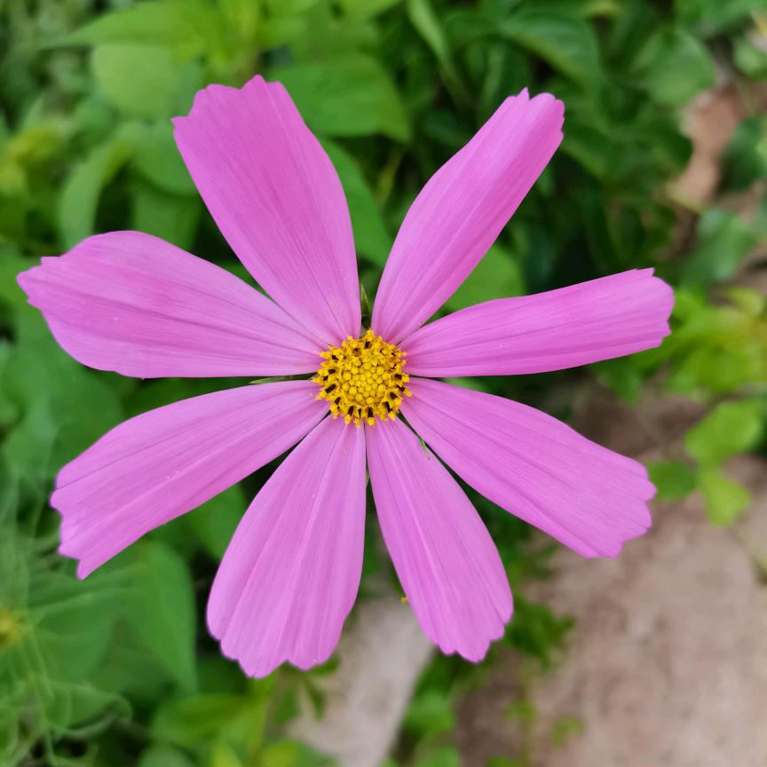 💋幸福靠自己💋