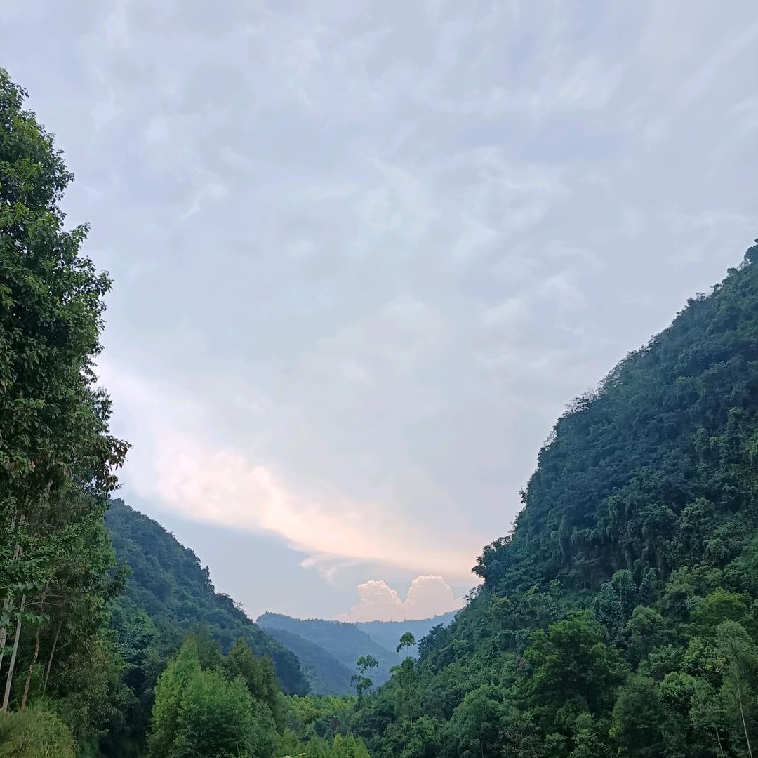 涨粉一万直播间(有关必回有关必回)