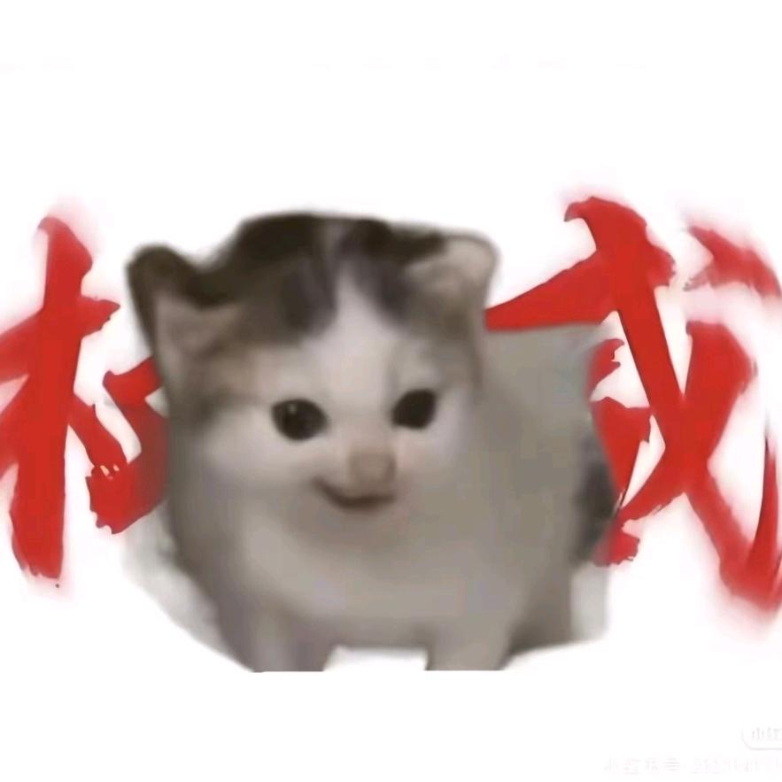 猫meme哑