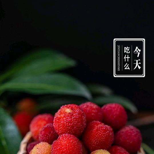 孤独！孤单一个人