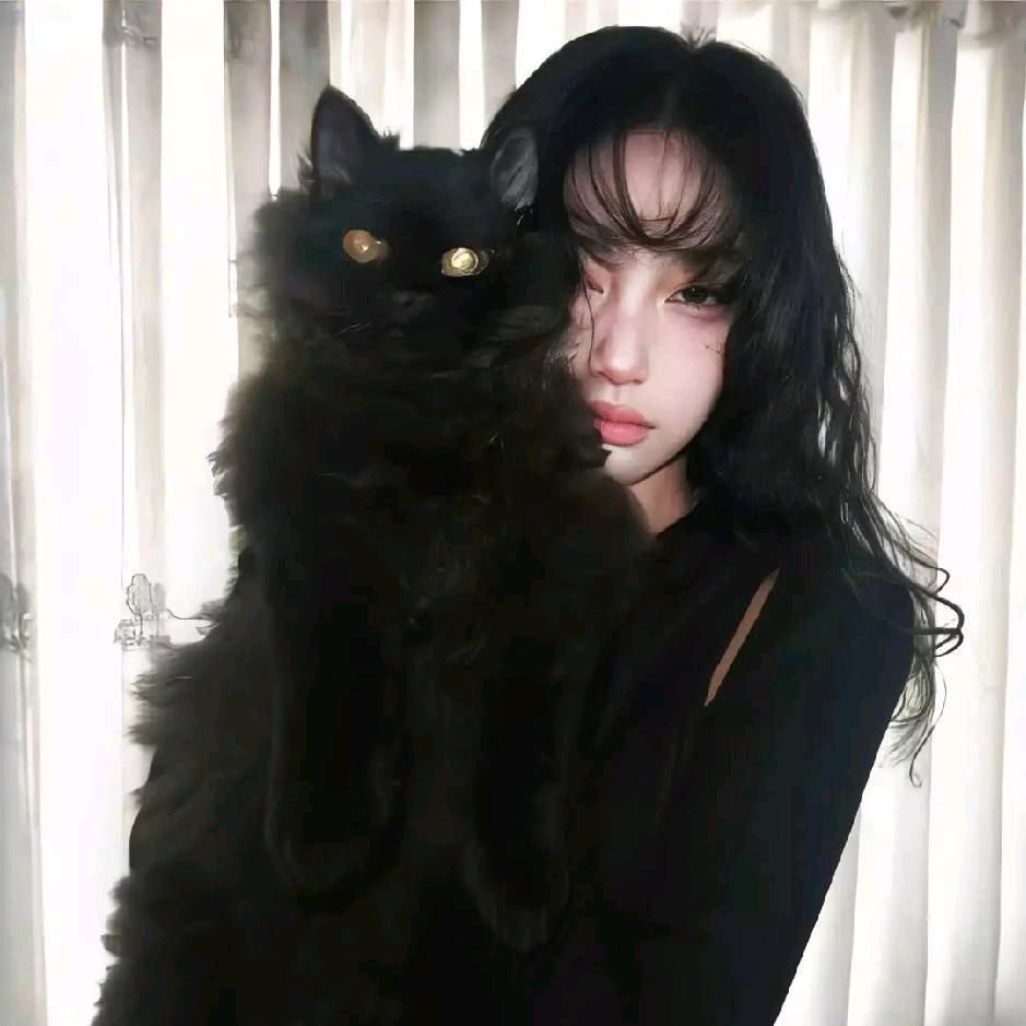 时间煮雨我煮鱼