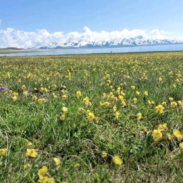 龙岗