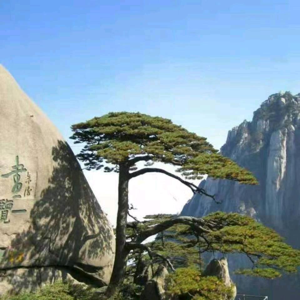 平安一生