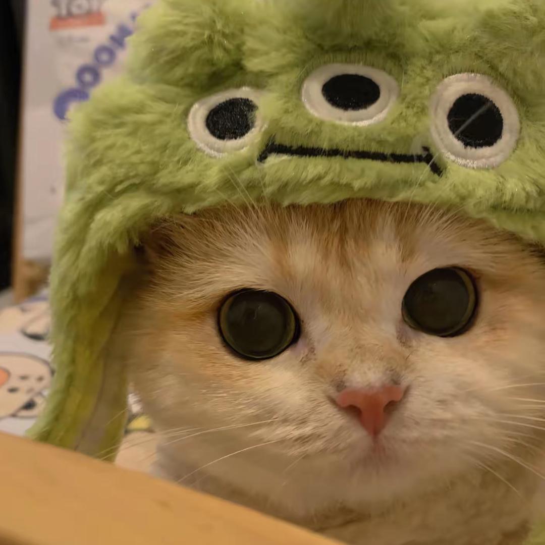 烤冷面加糖不要辣