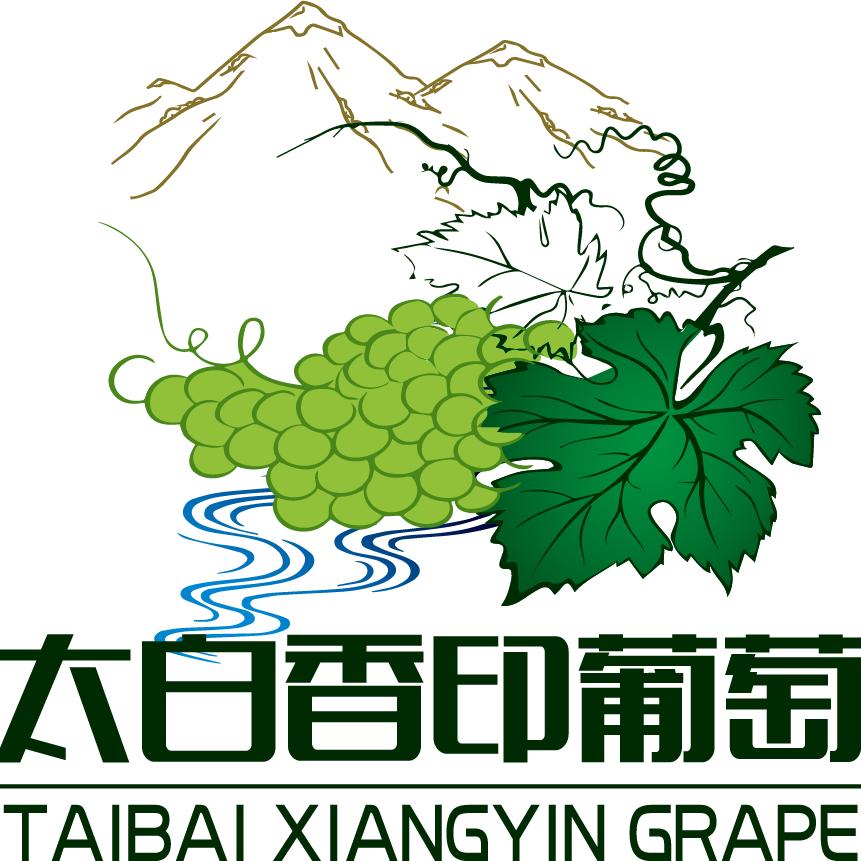 太白香印葡萄