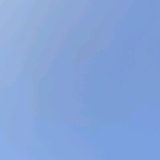 雷子