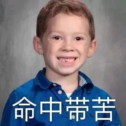 阳光摆烂的日子