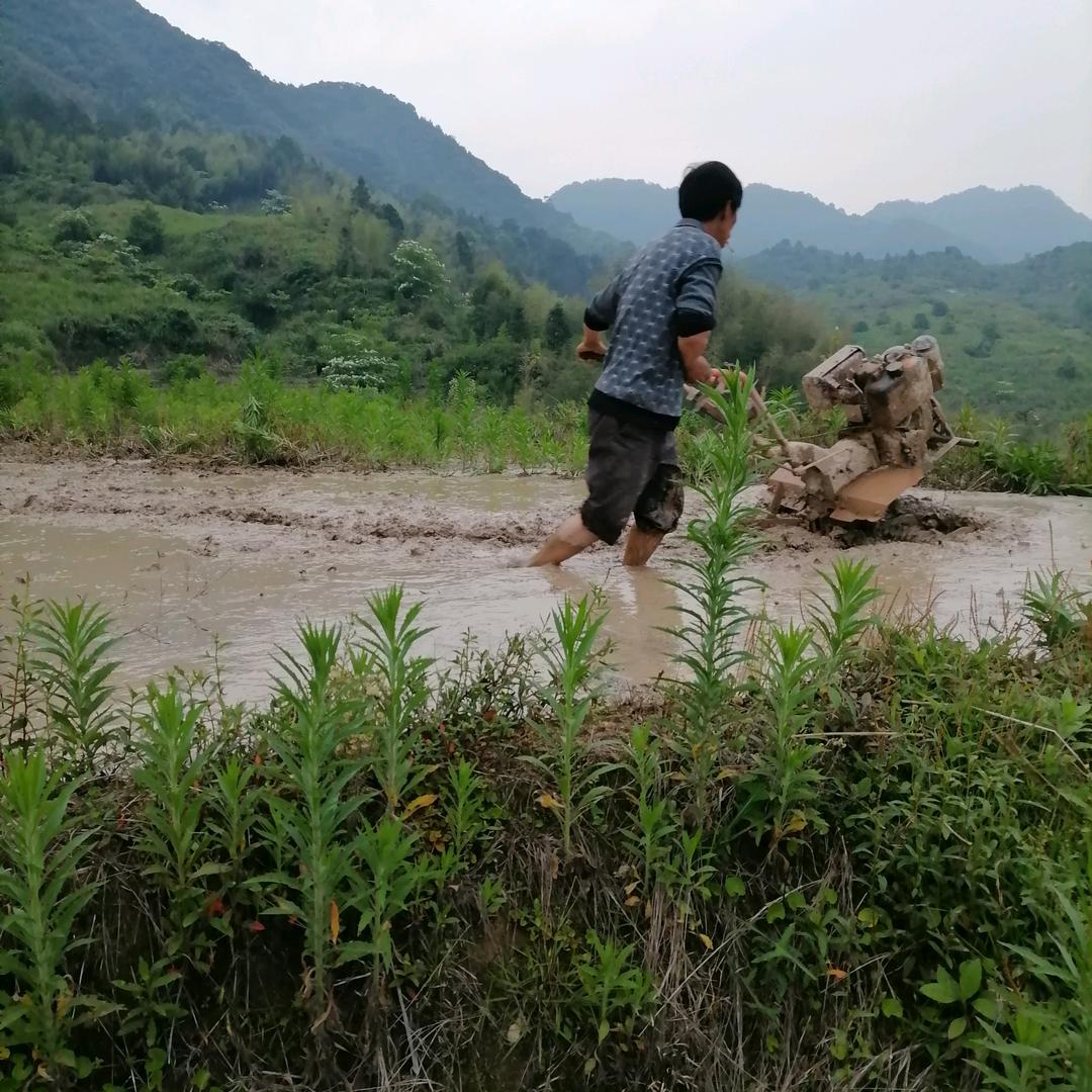 辛苦的农民伯伯
