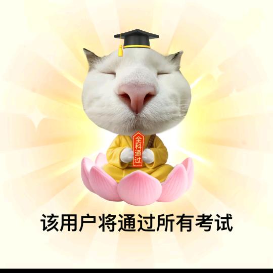 牛牛🐂