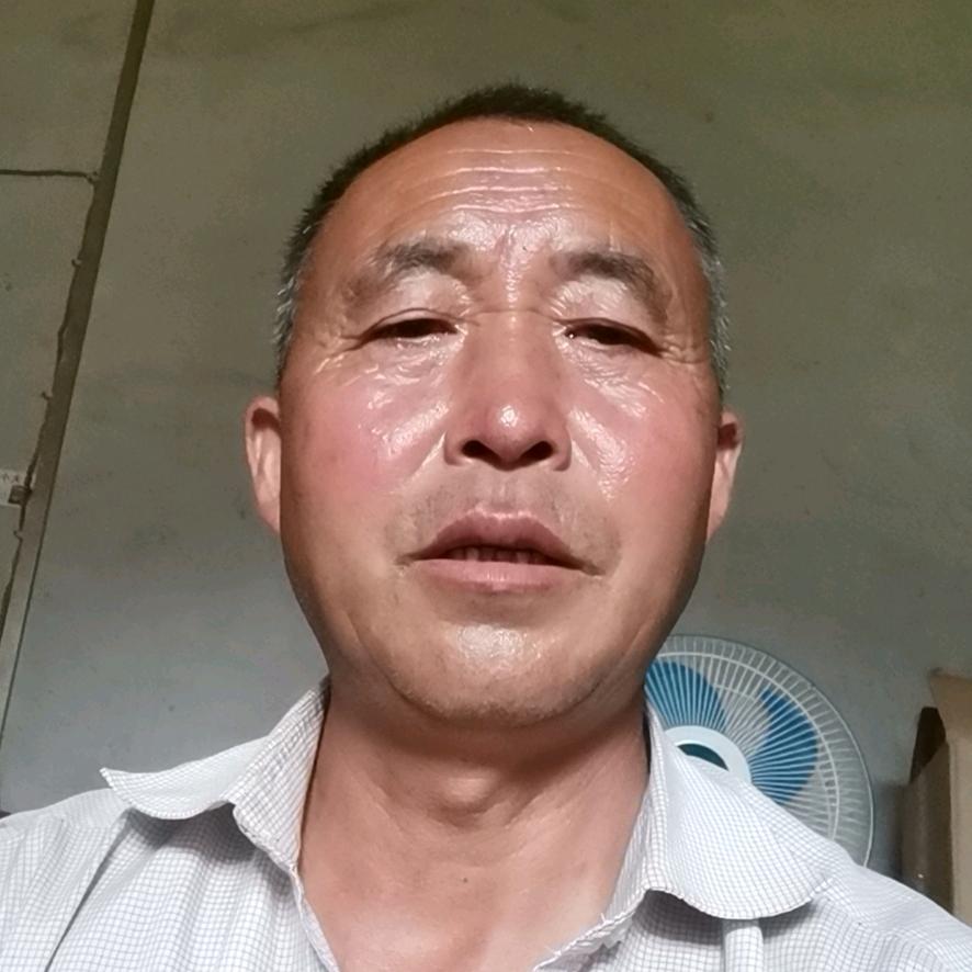 真心相爱，长期购销大小猪74208713
