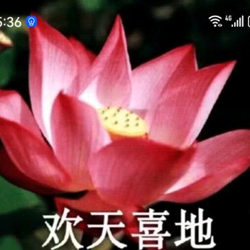 四川.王姐