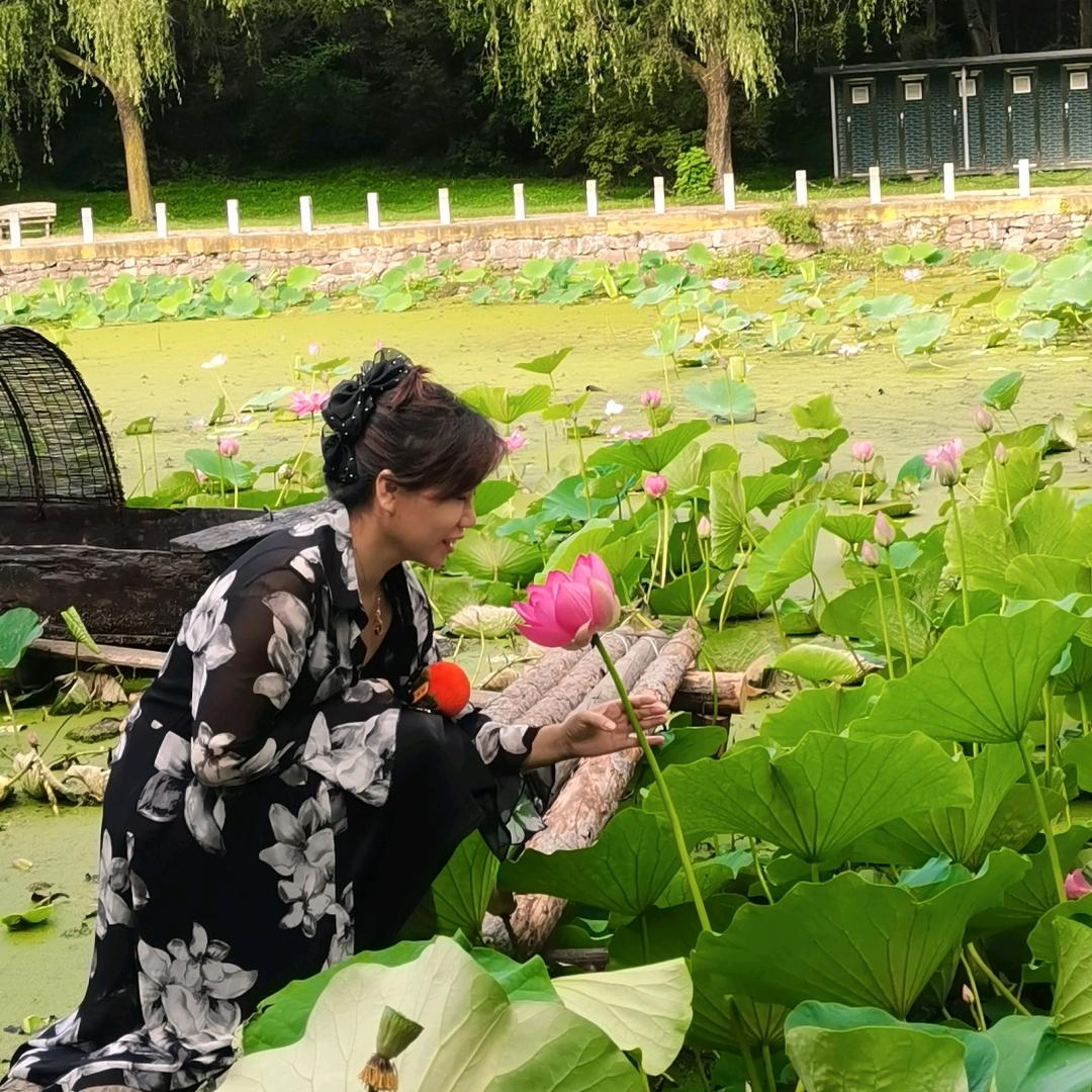 莫莉美妆