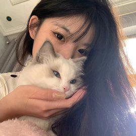 来碗面条ᵃ.
