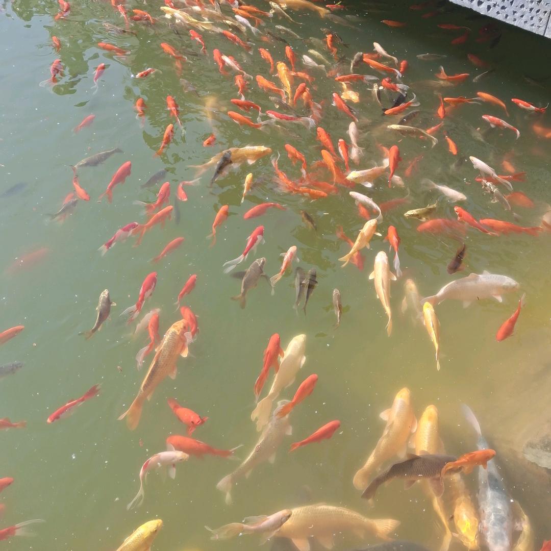 静姐