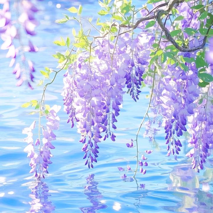 —素年锦时—