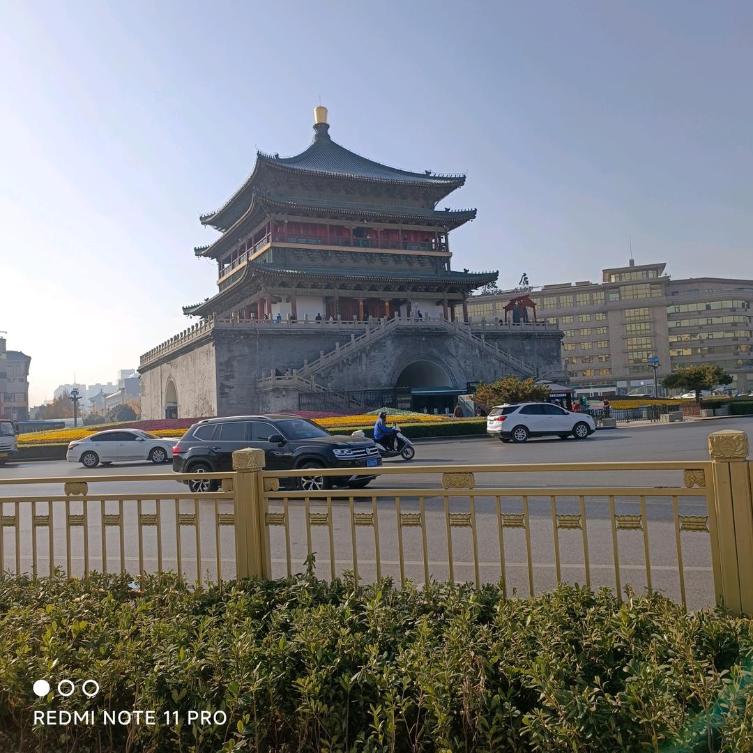 带货老赵（正能量 ）