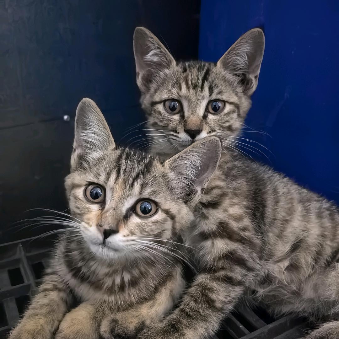 🍞～_～'''闽鸿