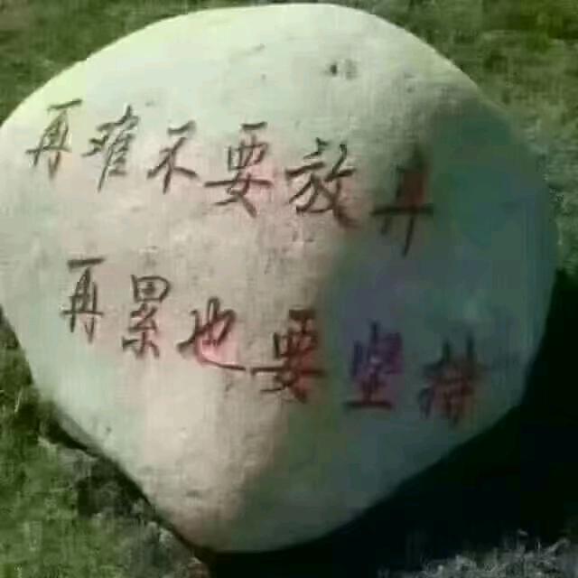 寻找真爱