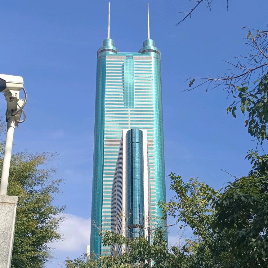 涛声依旧