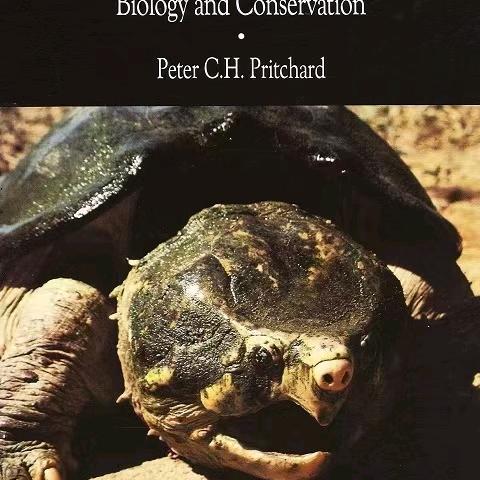 ── 展开3255条回复 ⌵