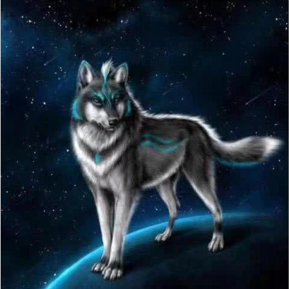 梦幻的你