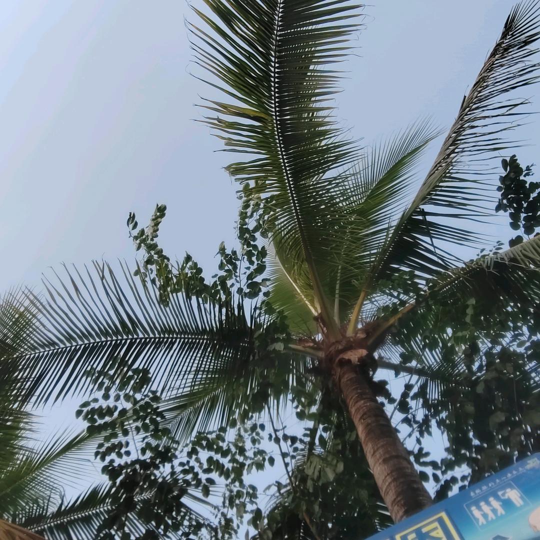 快乐每一天