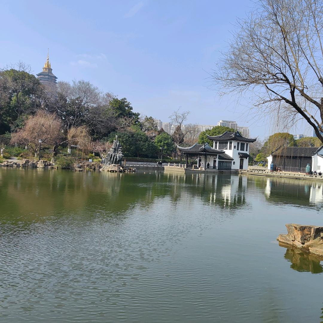 孔雀雁南飞