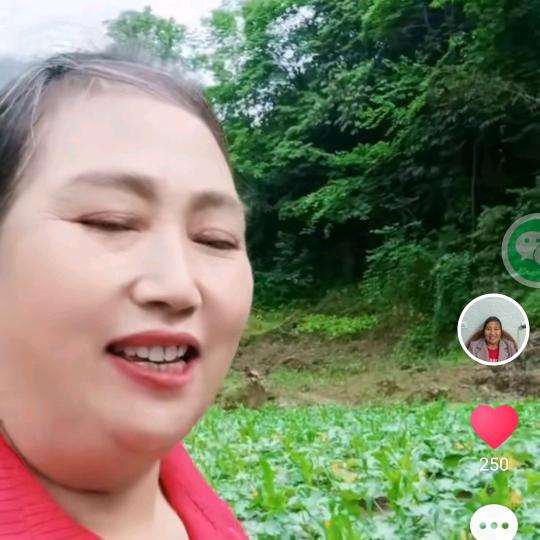 嫂子